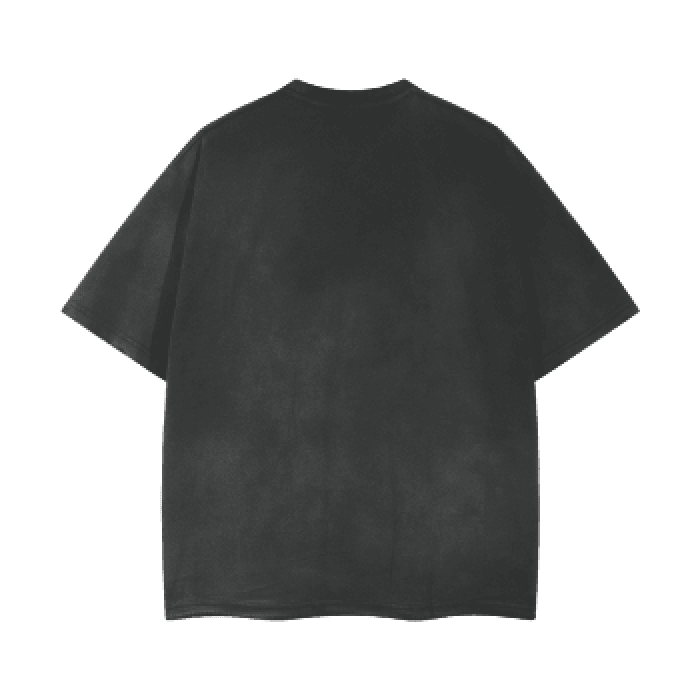 Cavalry Unisex Washed Effect Vintage T-Shirt - RAVARCAM APPAREL